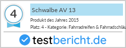 Schwalbe AV 13